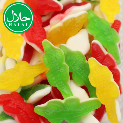 Colorful halal gummy crocodile candies in red, yellow, and green with halal label