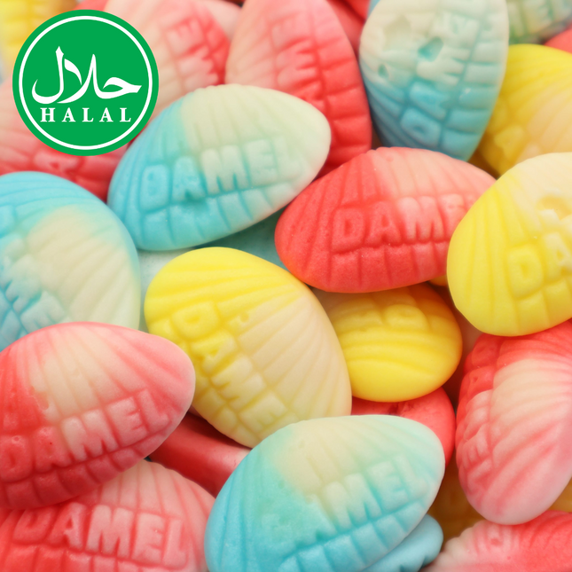 Colorful halal shell-shaped gummy candies with DAMEL imprint, close-up